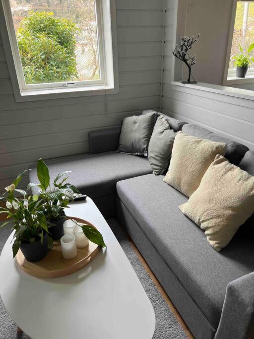 Cosy Apartment With Free Parking Μπέργκεν Εξωτερικό φωτογραφία